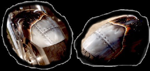 Front Fender Nose Detail'